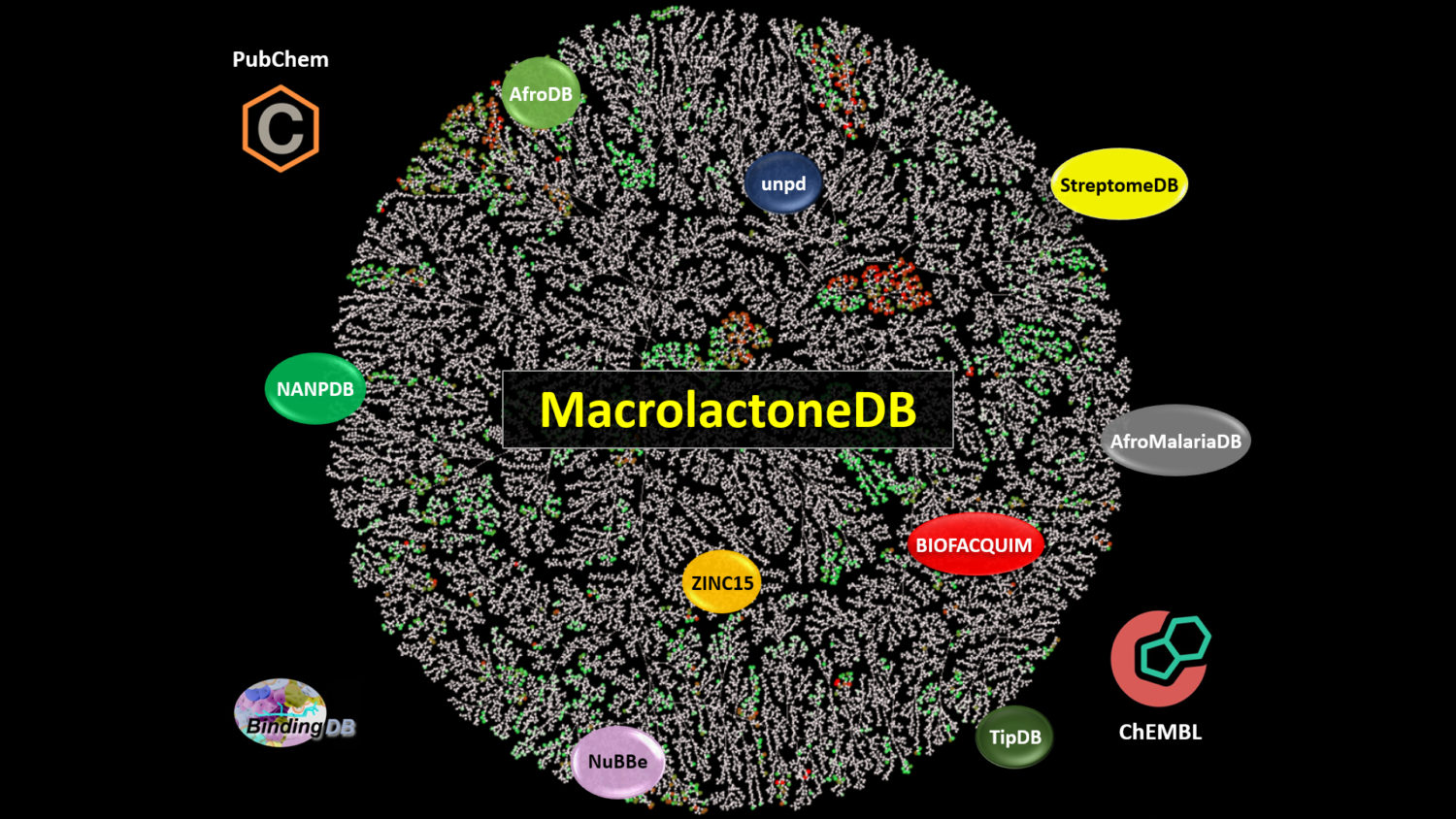 MacrolactoneDB