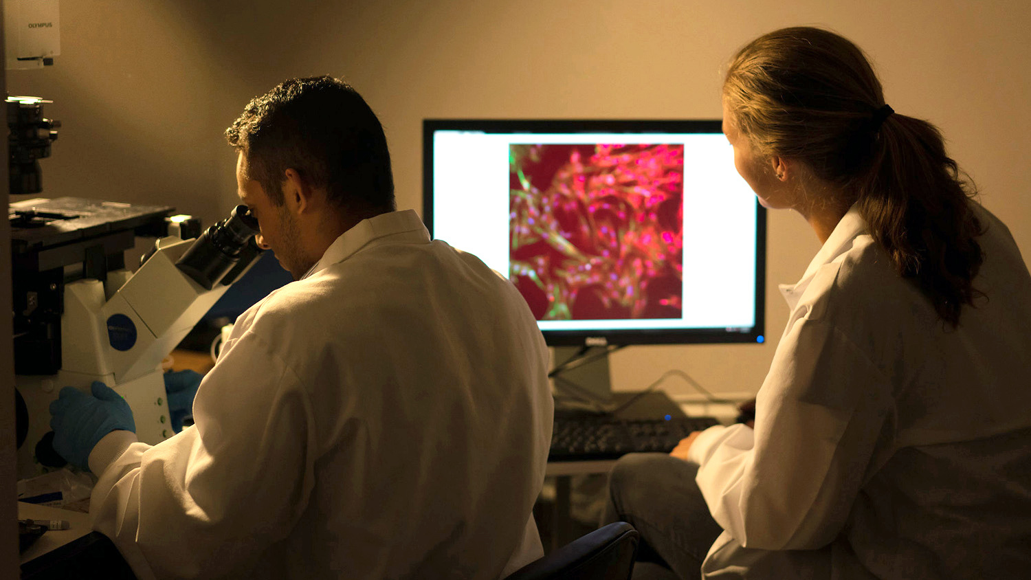 Researchers in the lab