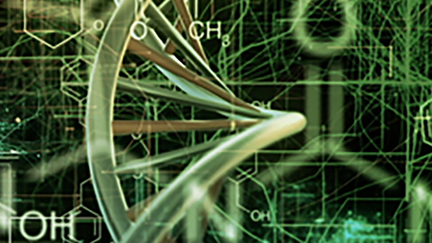 Chemistry of Life Image