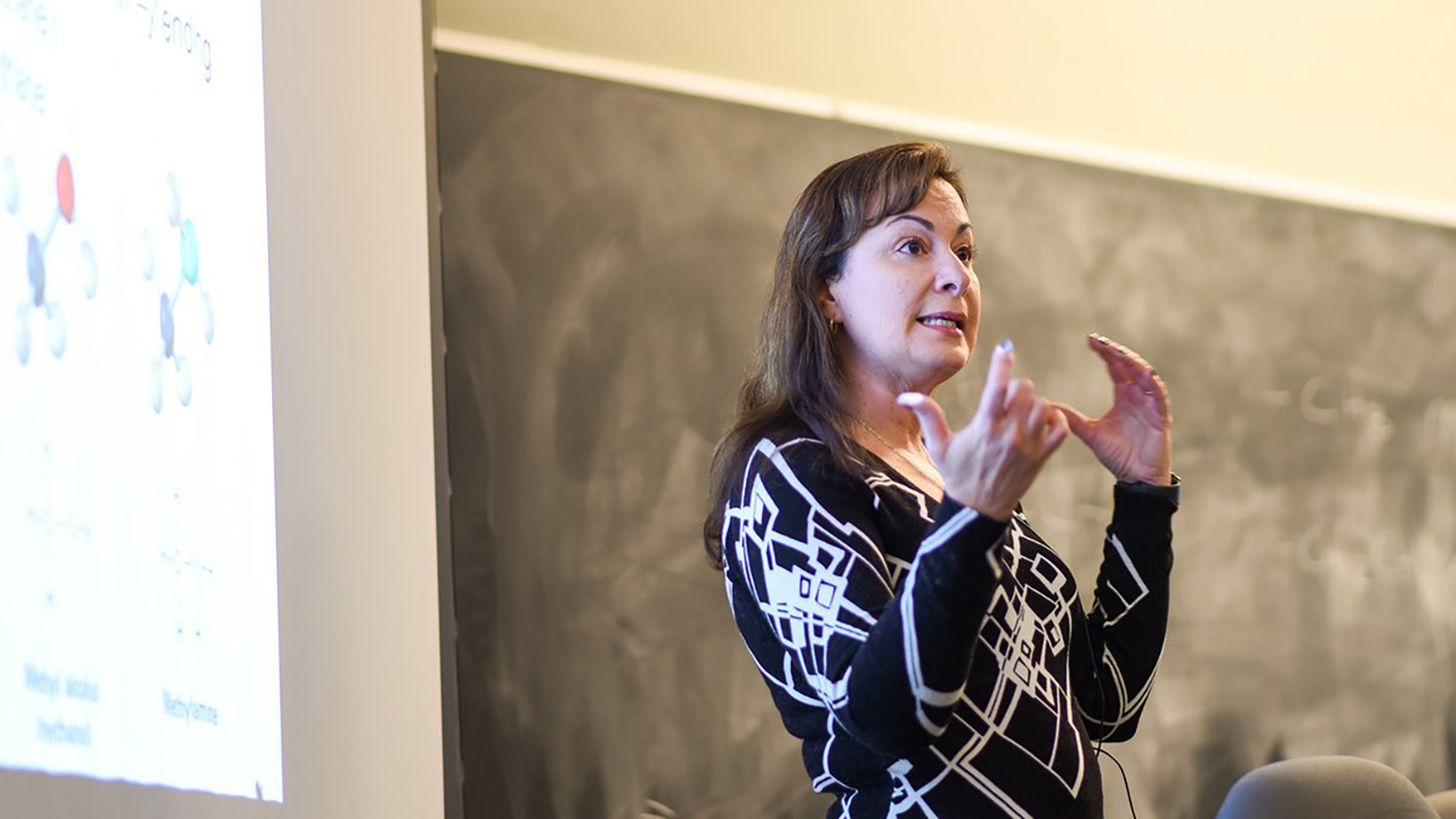 Maria Gallardo-Williams teaching in class.
