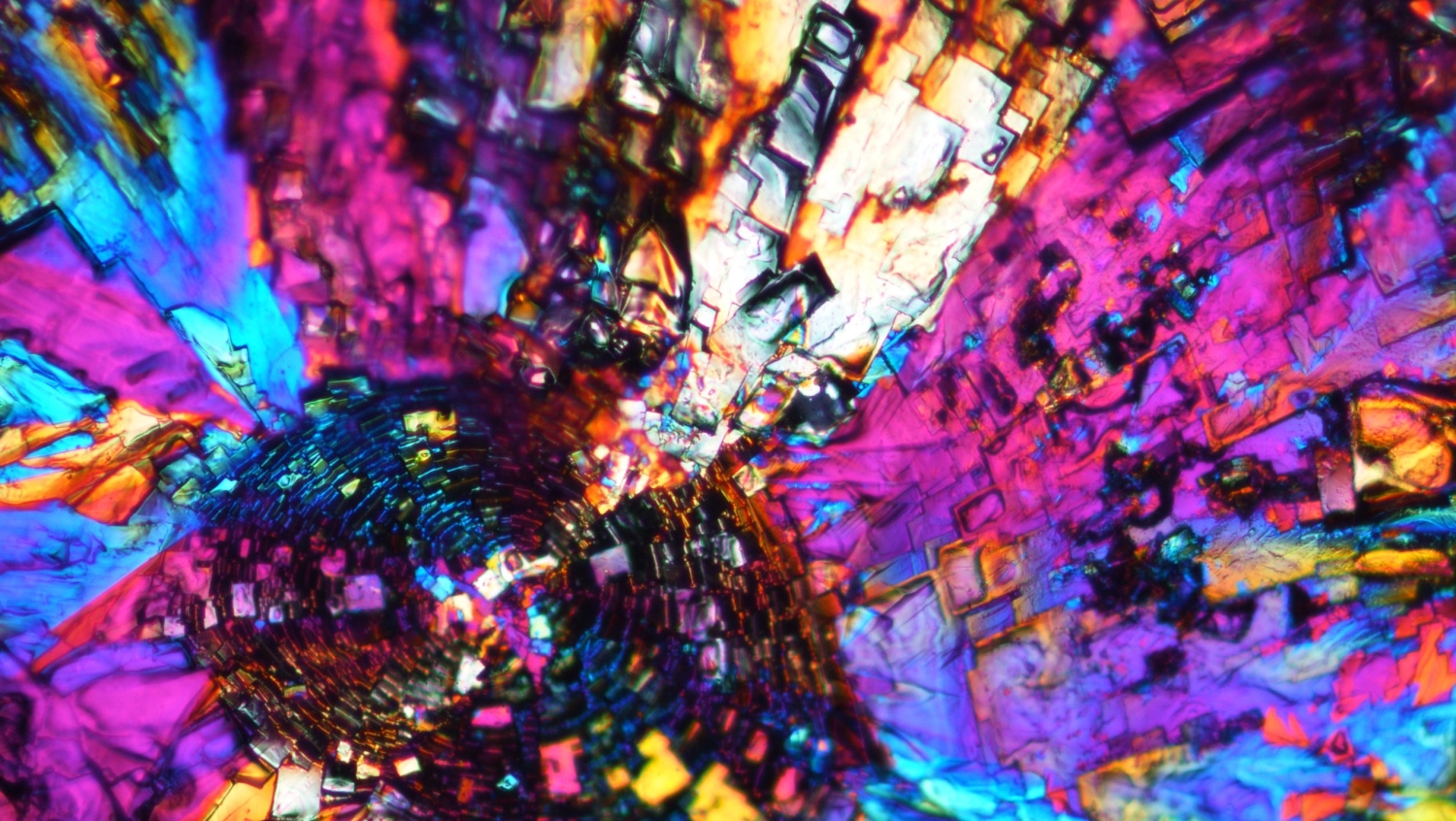 1st place contest winner, microscopic image