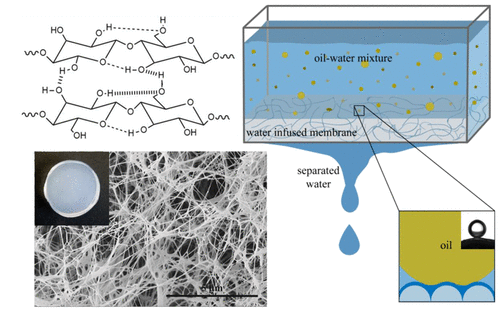 Illustration for the Publication: Bacterial Superoleophobic Fibrous Matrices: A Naturally Occurring Liquid-Infused System for Oil–Water Separation