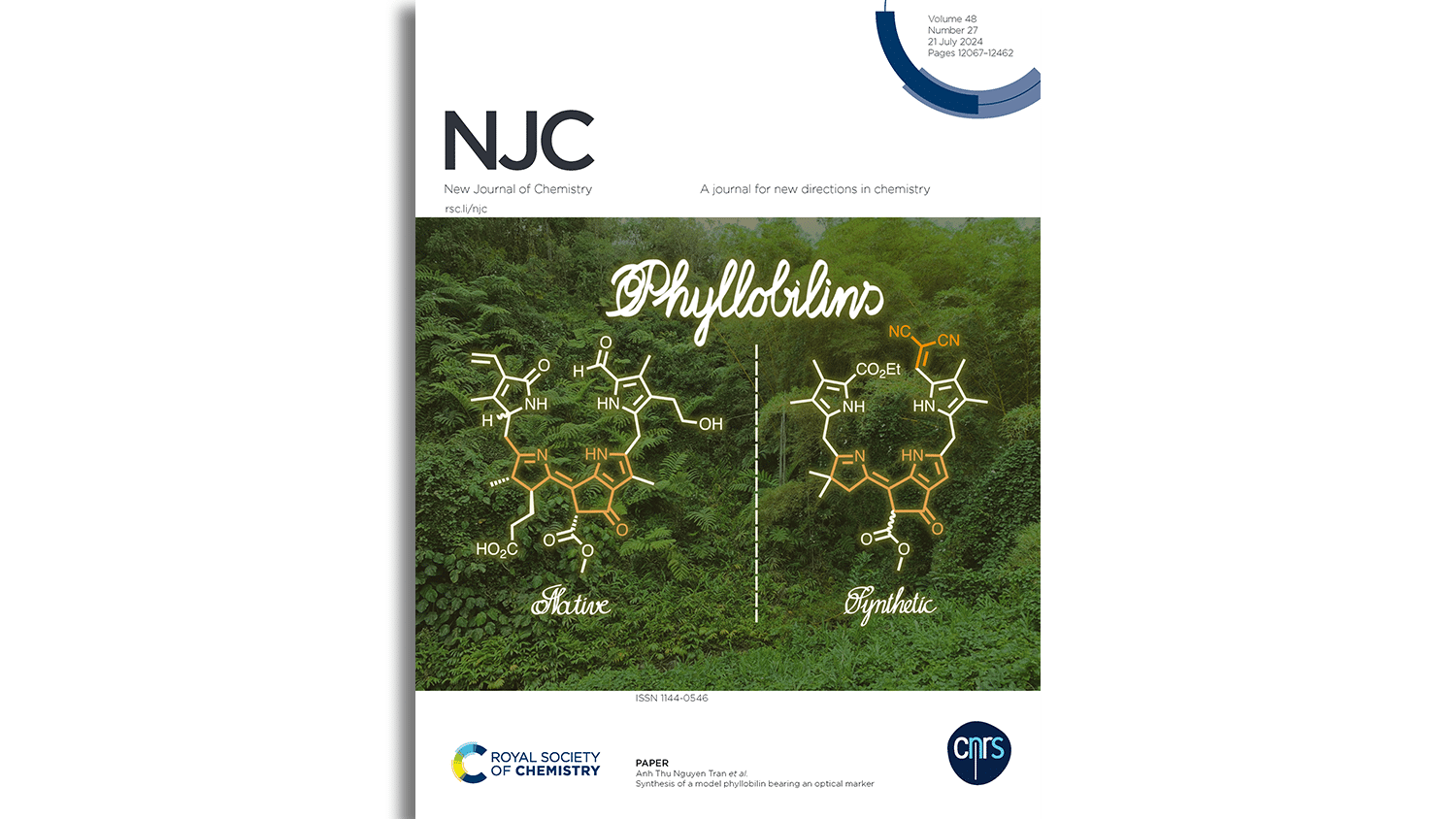 Cover Art in New Journal of Chemistry