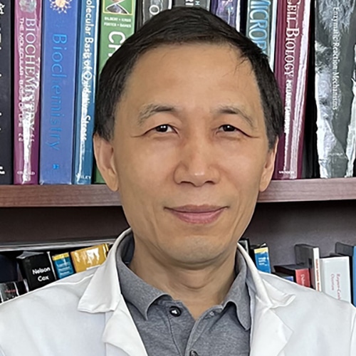 Headshot of Professor Aimin Liu