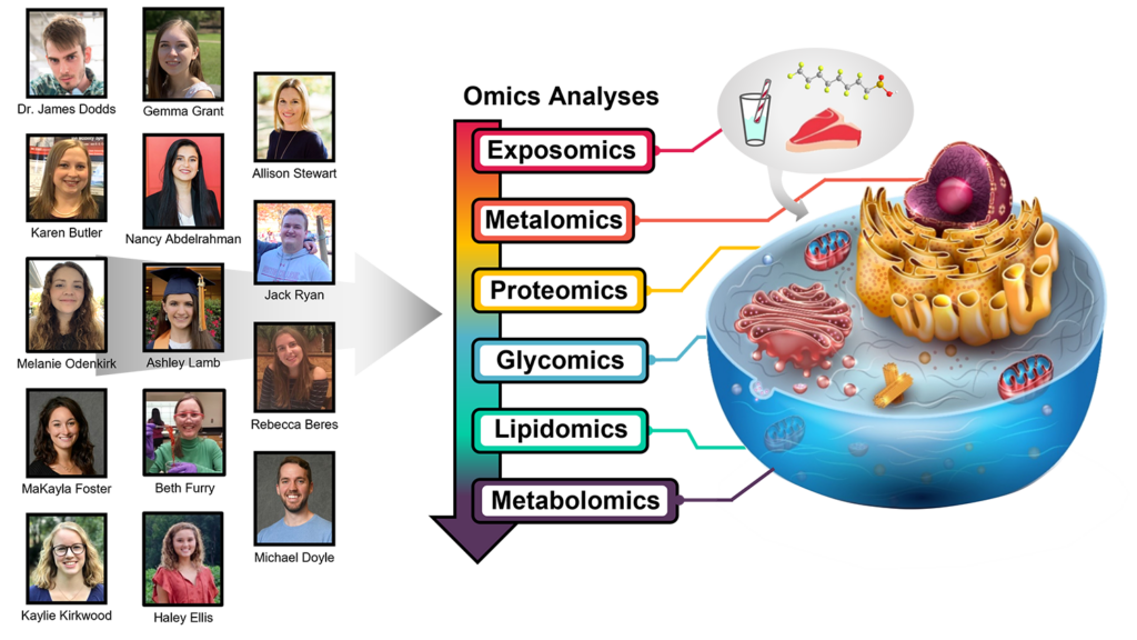 Graphic Poster of Baker's group goal to gain in-depth understanding of how chemical exposure affects human health