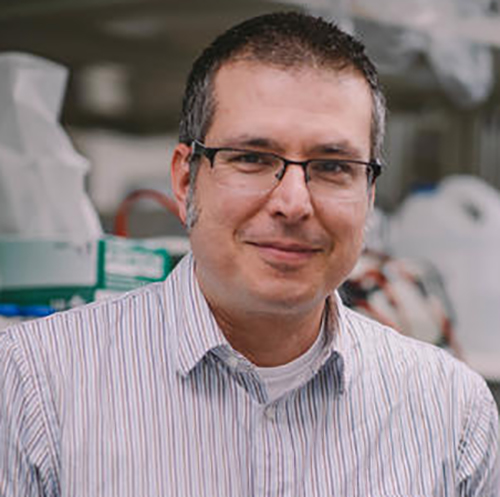 The image represents Professor David Heisaey headshot wearing eyeglasses